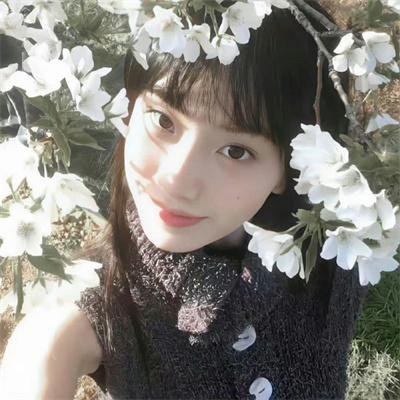 脂粉英雄